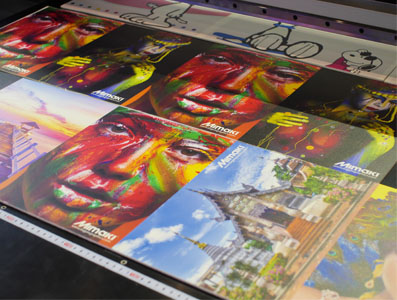 mimaki jfx200-2513 ex